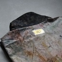 CAMISA MUSEO (M/L)