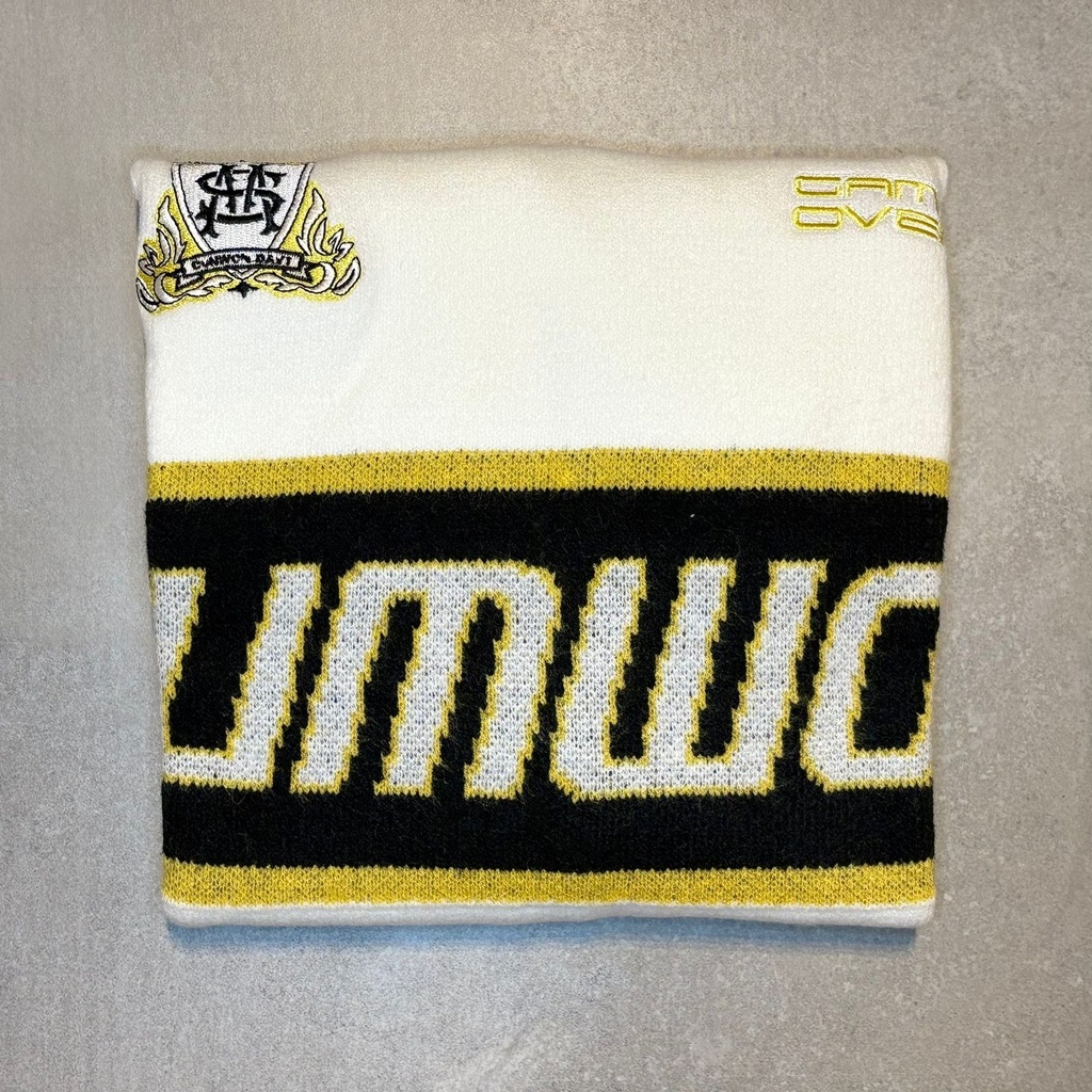 SWEATER UNIVERSITARIO BORDADO (M/L)